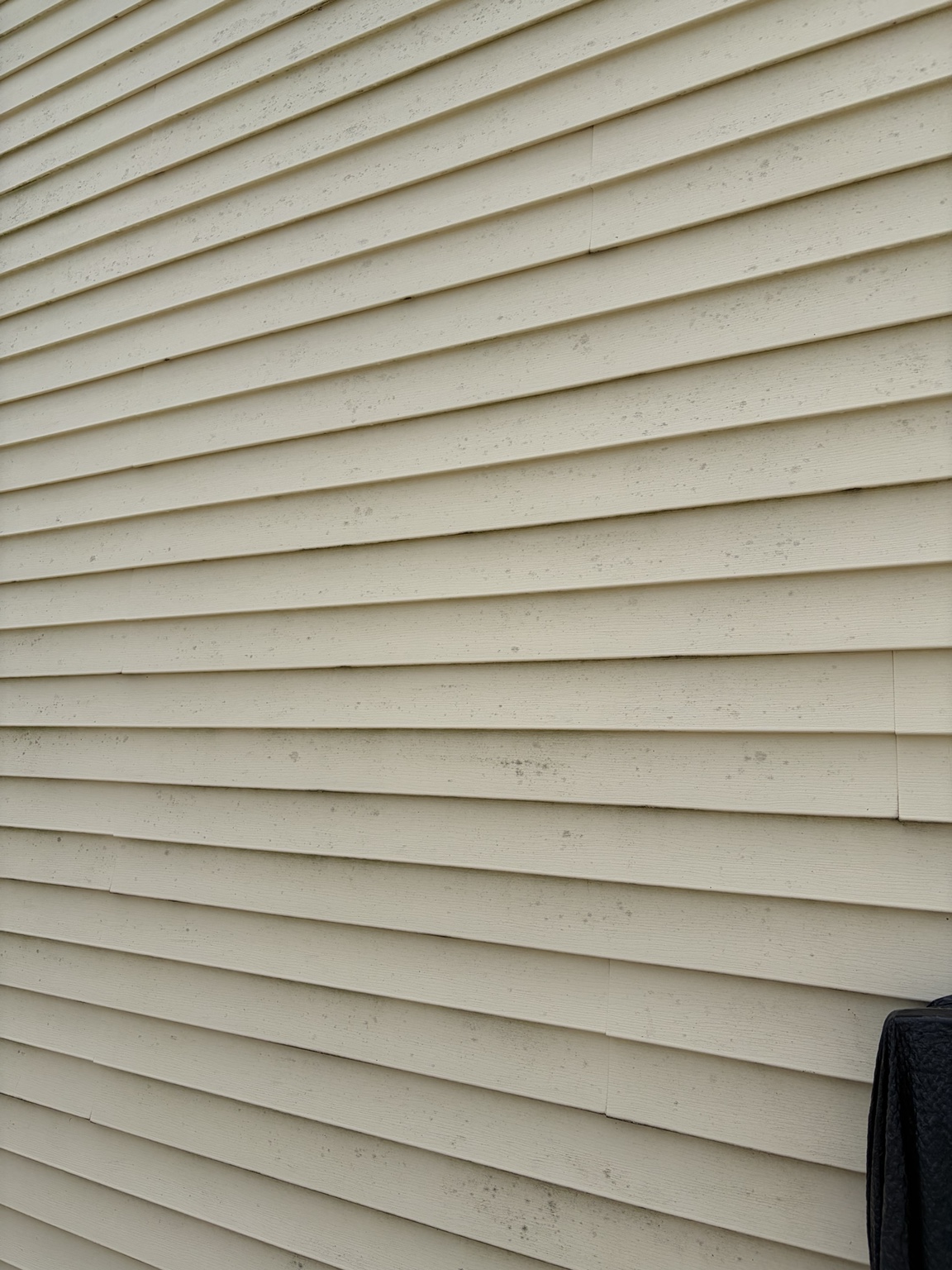 Close-up of siding with mildew before soft wash