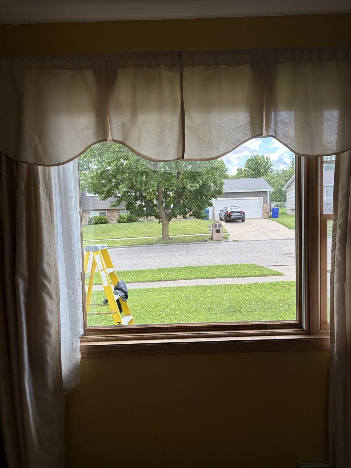 Interior view through a freshly cleaned window