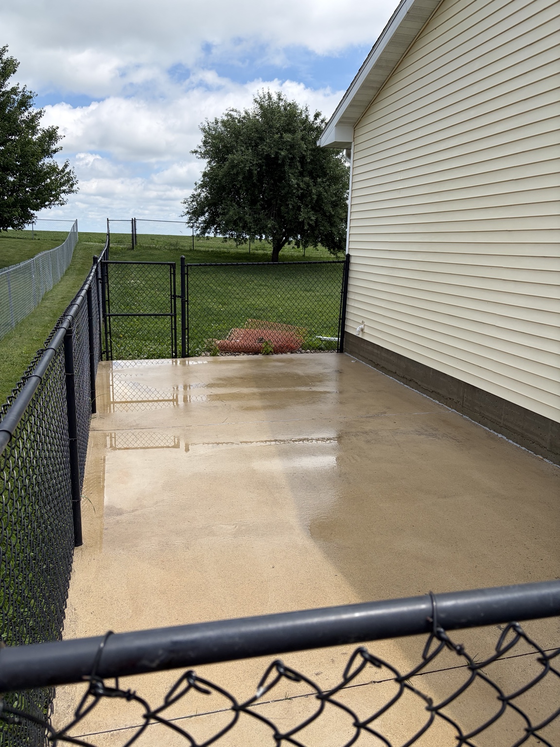 Concrete patio after professional cleaning